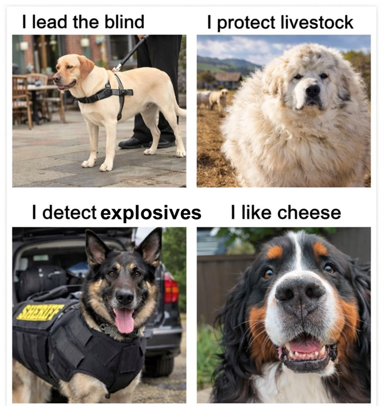 I lead the blind I protect livestock I detect explosives I like cheese SHERIFY