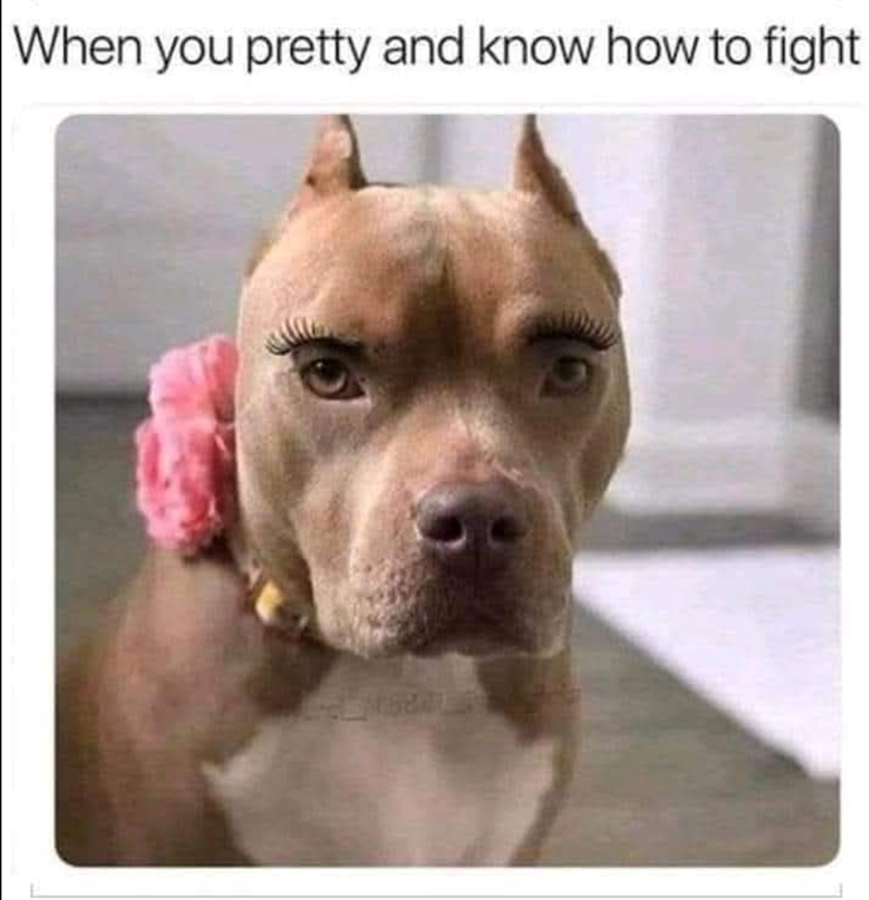 When you pretty and know how to fight