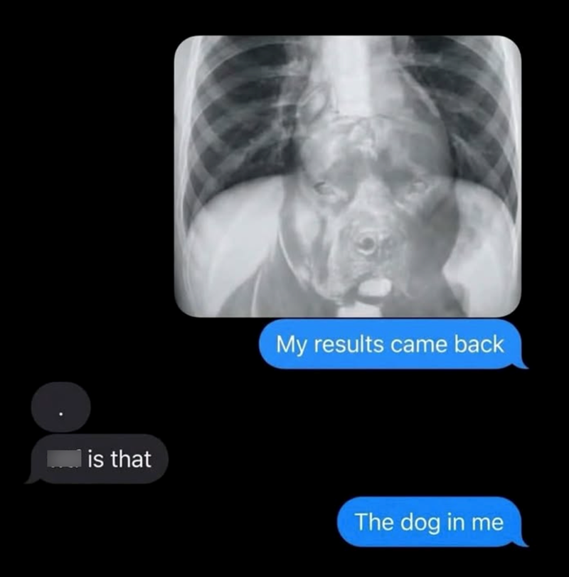 My results came back is that The dog in me