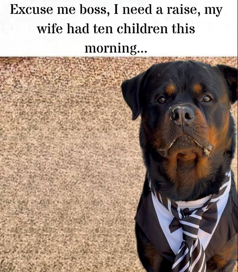 Excuse me boss, I need a raise, my wife had ten children this morning...