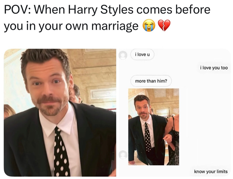 POV: When Harry Styles comes before you in your own marriage i love u more than him? i love you too know your limits