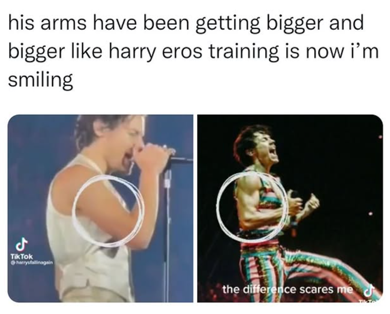 his arms have been getting bigger and bigger like harry eros training is now i'm smiling ل Tik Tok harrysfallinagain the difference scares me