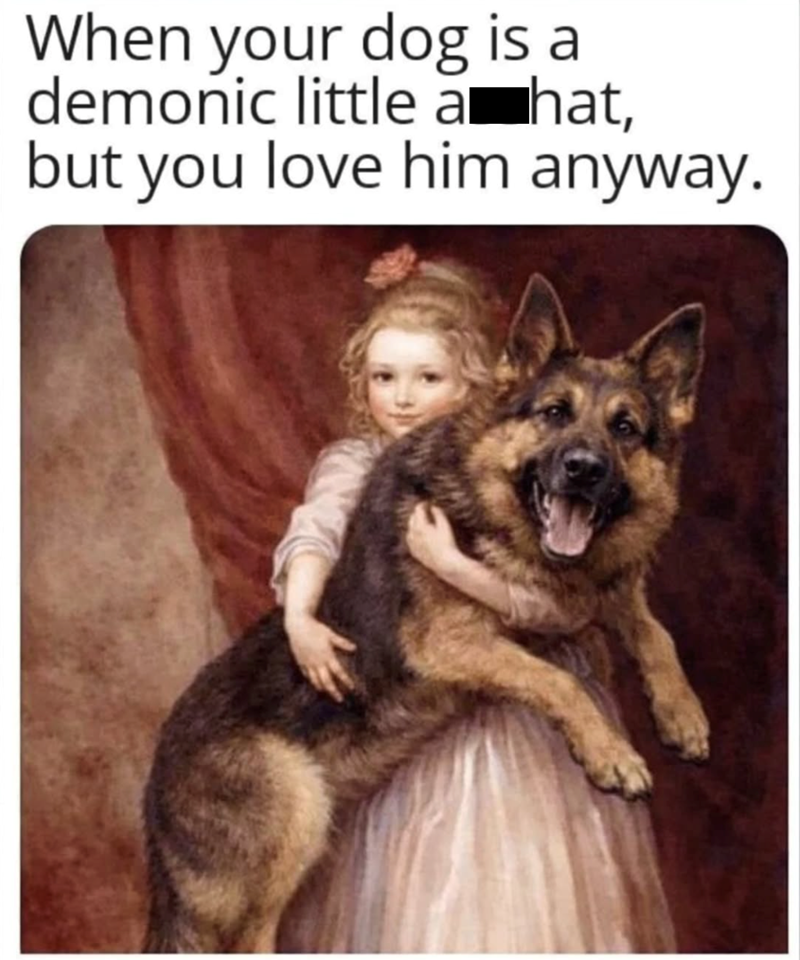 When your dog is a demonic little a hat, but you love him anyway.