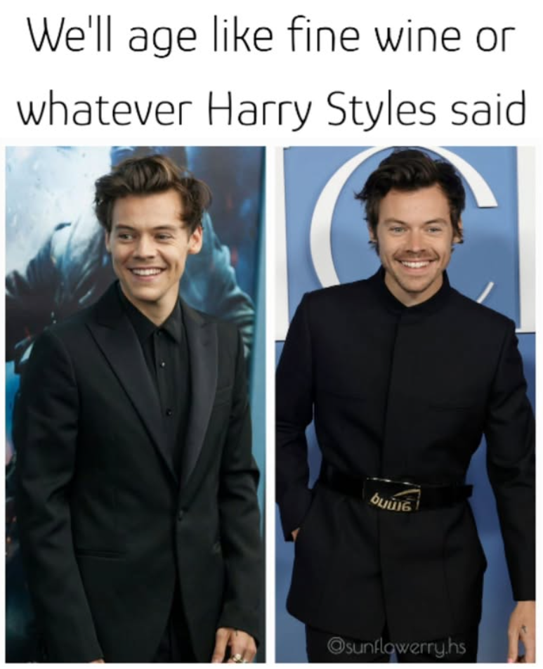 We'll age like fine wine or whatever Harry Styles said. buшG Osunflowerry.hs