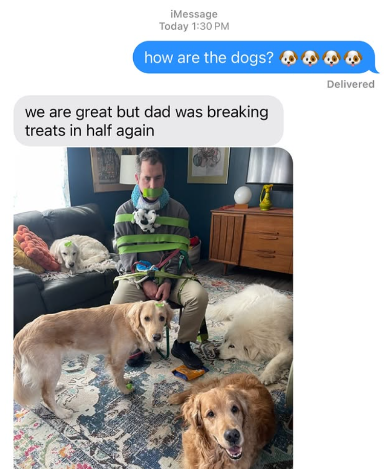 iMessage Today 1:30 PM how are the dogs? we are great but dad was breaking treats in half again Delivered