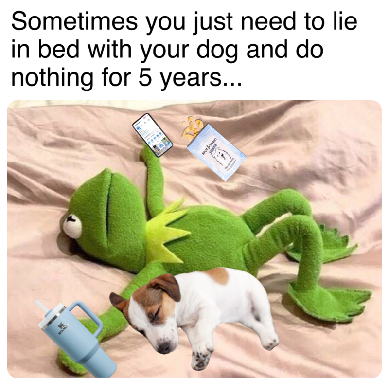 Sometimes you just need to lie in bed with your dog and do nothing for 5 years... & TAI ஞசல்