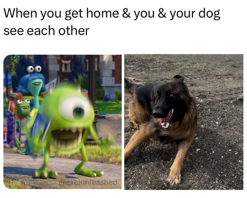 When you get home & you & your dog see each other @axelunleashed
