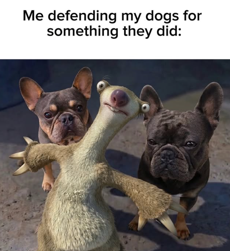 Me defending my dogs for something they did: