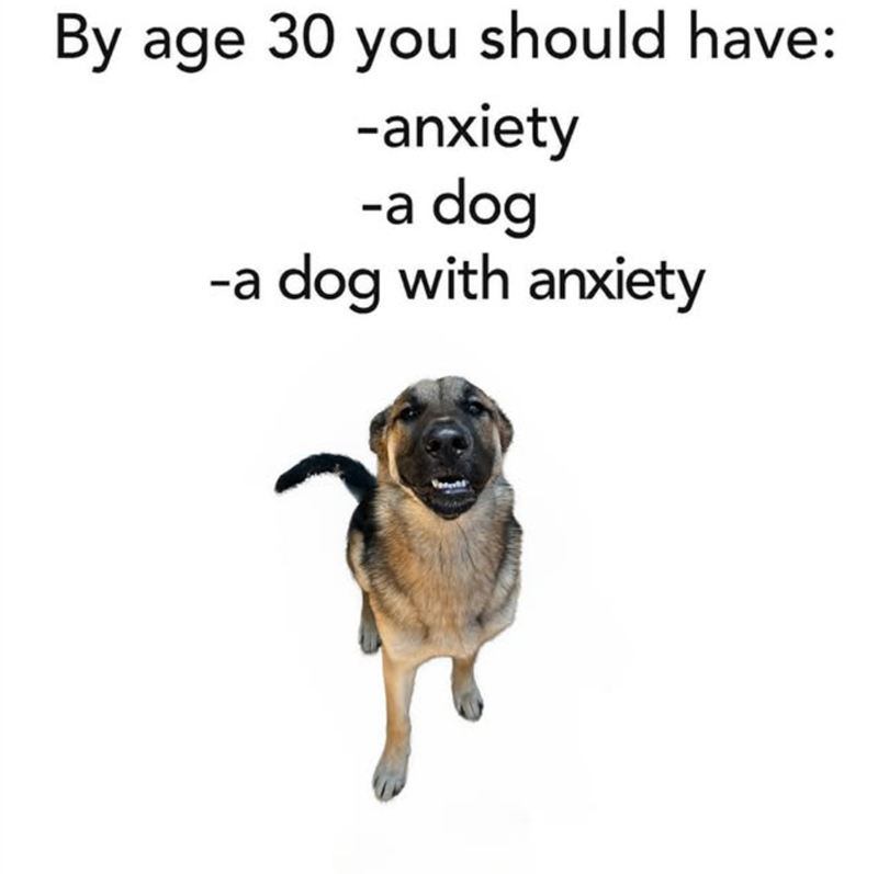 By age 30 you should have: -anxiety -a dog -a dog with anxiety