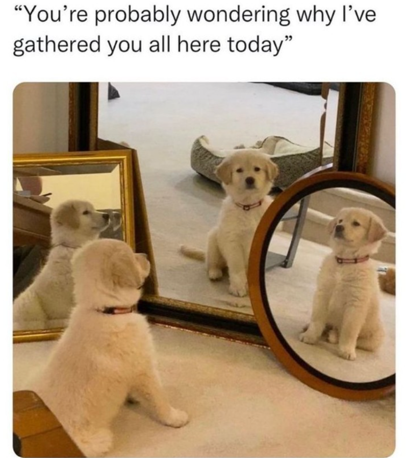 "You're probably wondering why I've gathered you all here today"