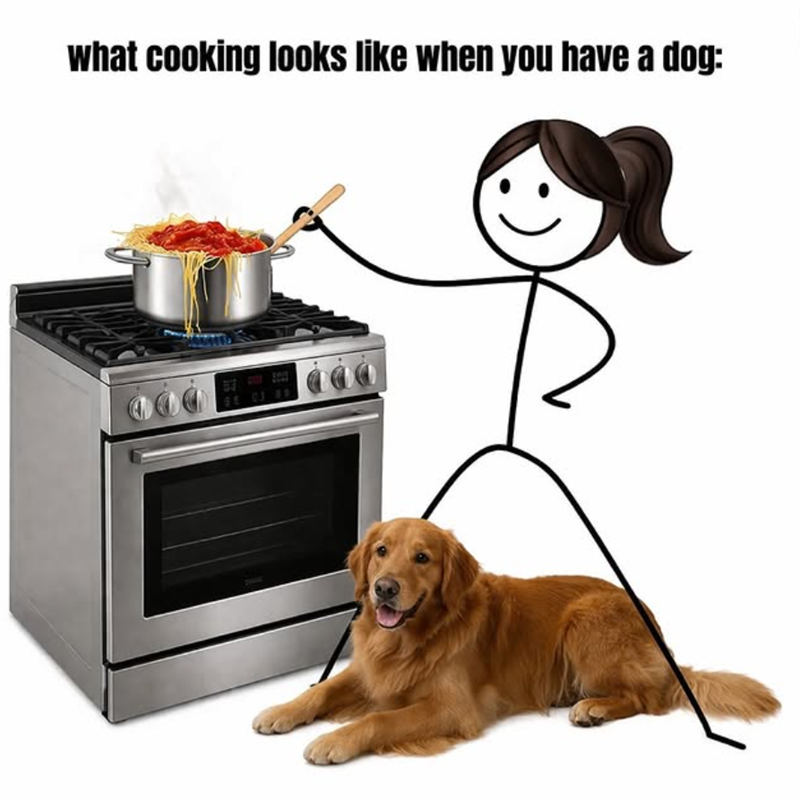 what cooking looks like when you have a dog: 时 034