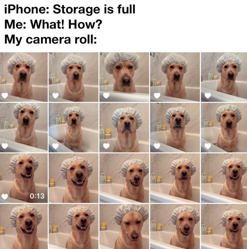 iPhone: Storage is full Me: What! How? My camera roll: 0:13