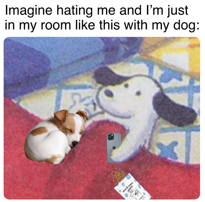 Imagine hating me and I'm just in my room like this with my dog: SMACKS SPOT & TANGO RAINERS