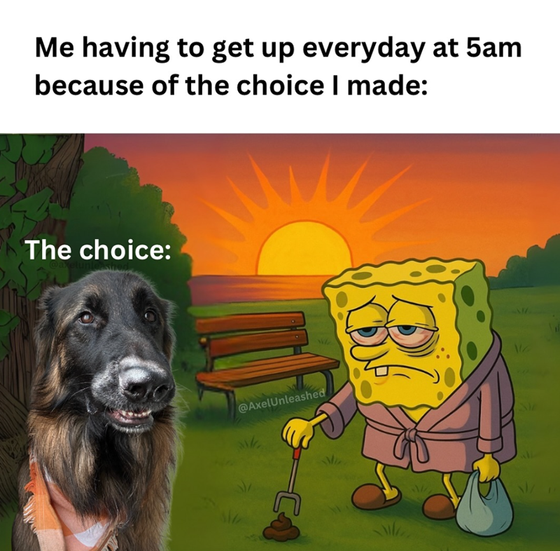 Me having to get up everyday at 5am because of the choice I made: The choice: @AxelUnleashed