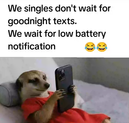 We singles don't wait for goodnight texts. We wait for low battery notification