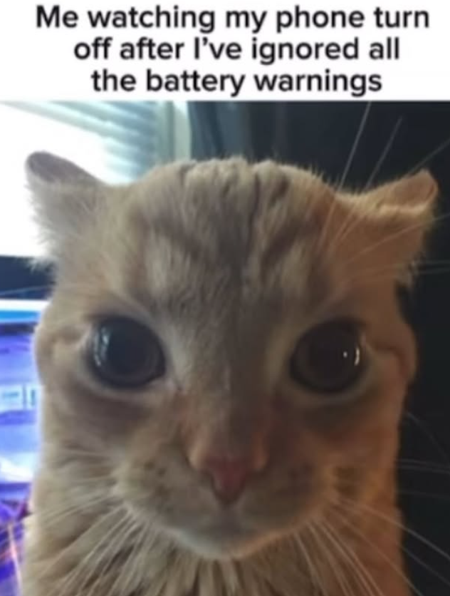 Me watching my phone turn off after I've ignored all the battery warnings