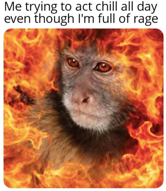 Me trying to act chill all day even though I'm full of rage