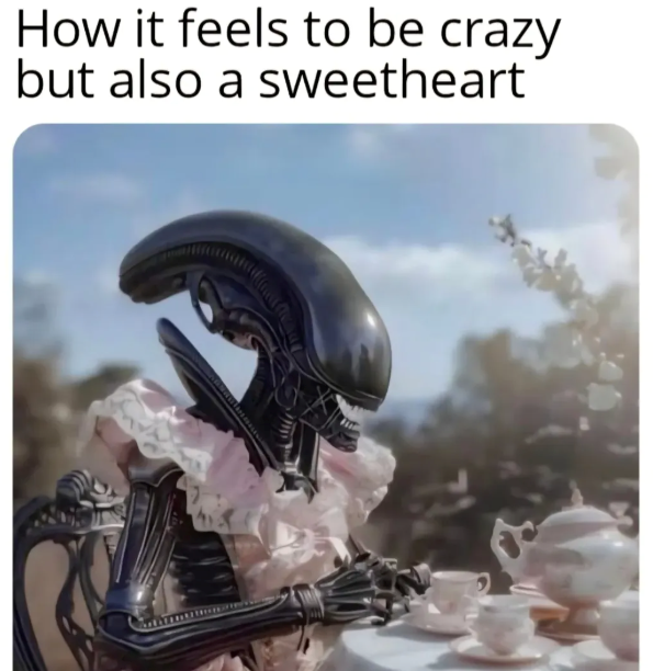 How it feels to be crazy but also a sweetheart