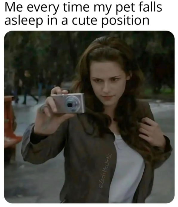 Me every time my pet falls asleep in a cute position @Zach Mcclintic
