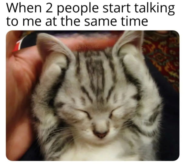 When 2 people start talking to me at the same time Zach Mccinde