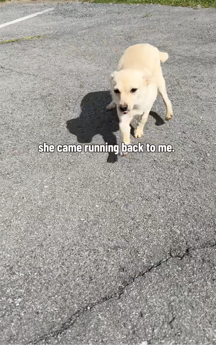 she came running back to me.