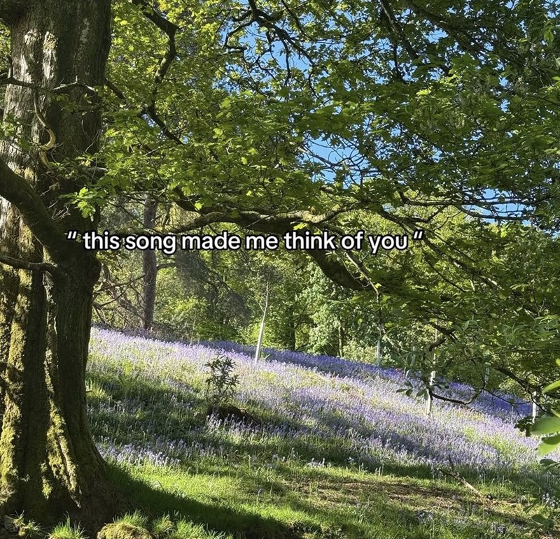 "this song made me think of you"