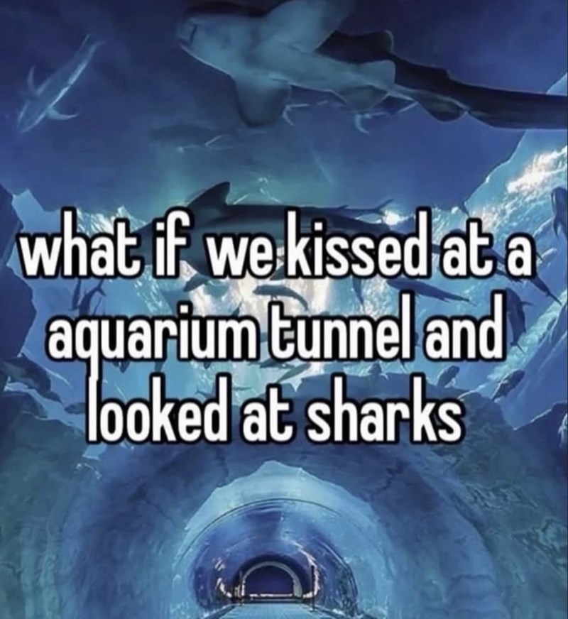 what if we kissed at a aquarium tunnel and looked at sharks
