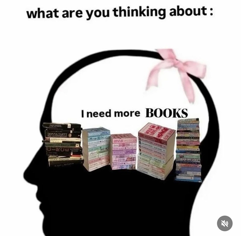 what are you thinking about: DONNA TARTT THE SPORT HISnet I need more BOOKS WILD LOVE ELSIE SELVER FLAWLESS HEARTLESS JOAN DIDION beson SPELESS