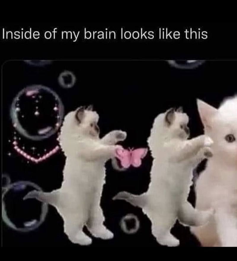 Inside of my brain looks like this