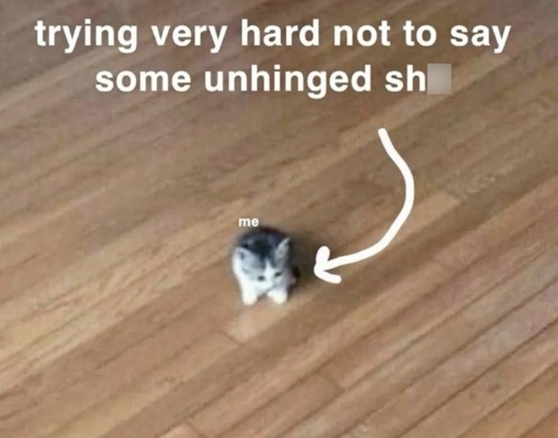 trying very hard not to say some unhinged sh me