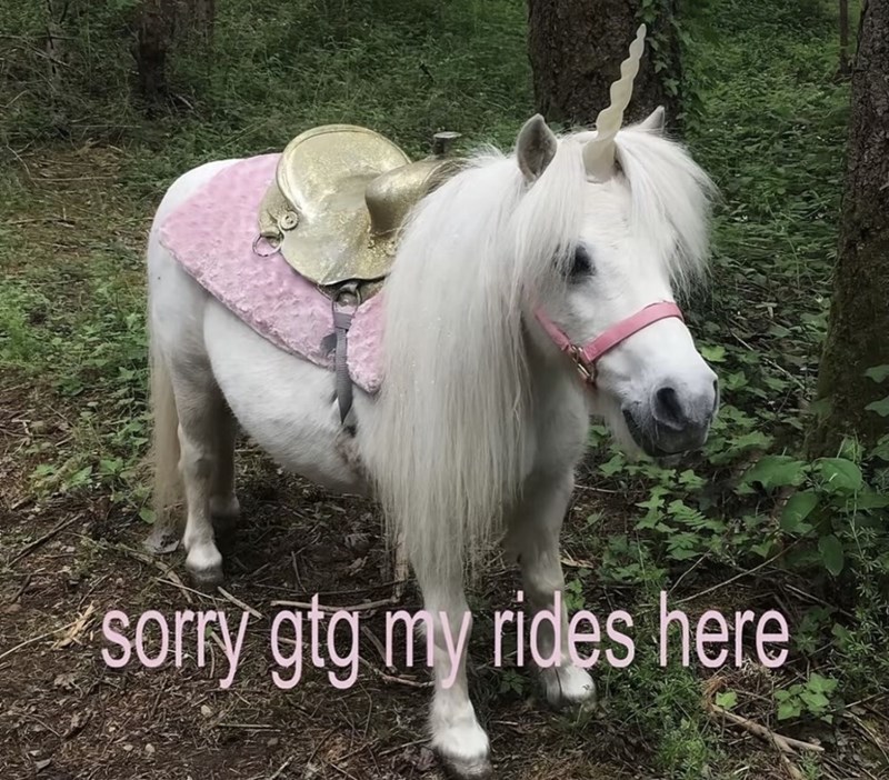 sorry gtg my rides here