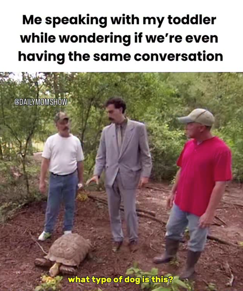 Me speaking with my toddler while wondering if we're even having the same conversation GDAILYMOMSHOW what type of dog is this?