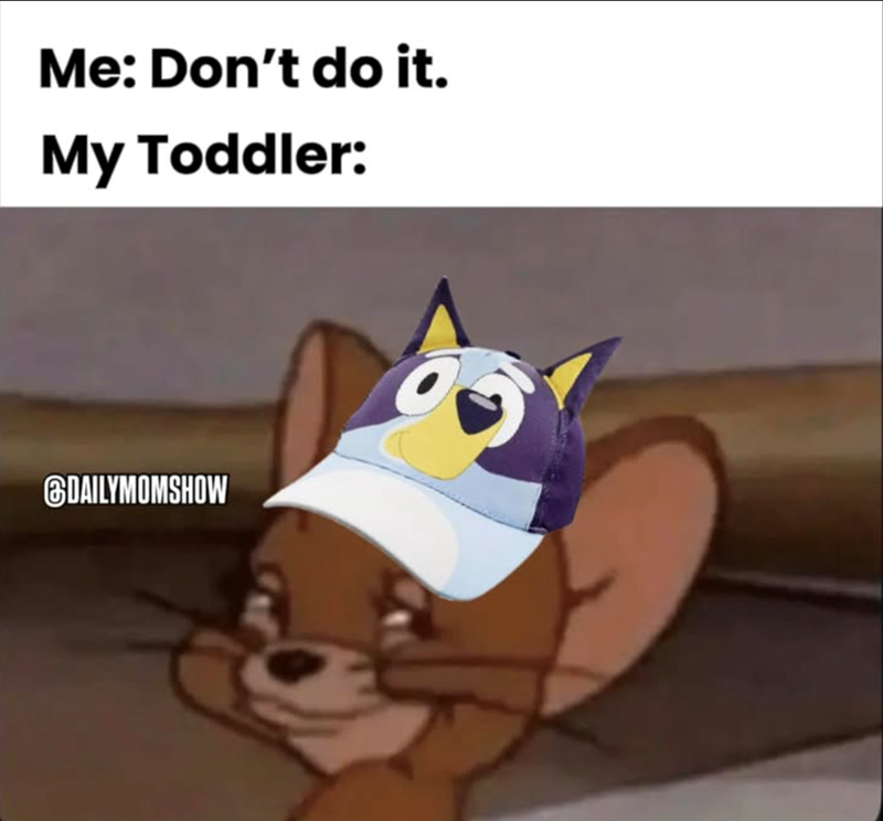 Me: Don't do it. My Toddler: DAILYMOMSHOW
