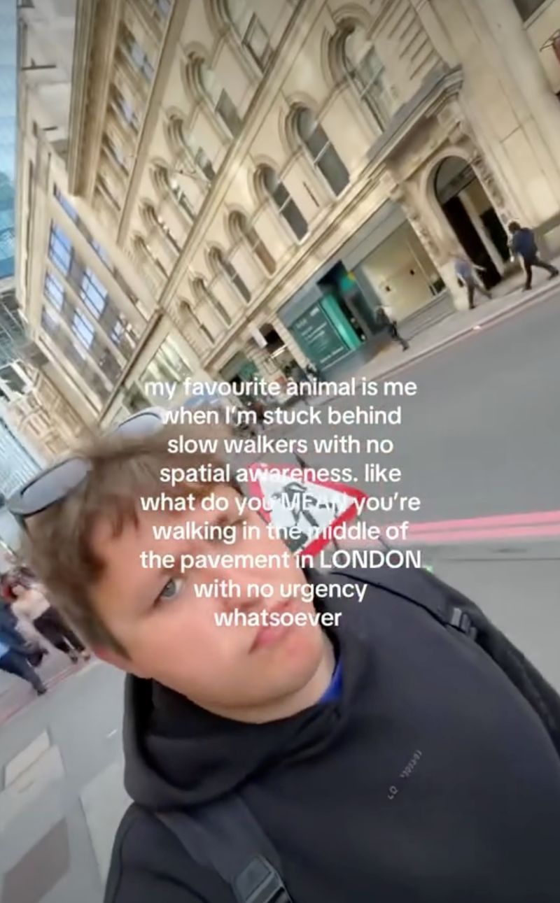 my favourite animal is me when I'm stuck behind slow walkers with no spatial awareness. like what do you ME you're walking in the middle of the pavement in LONDON with no urgency whatsoever 10460607