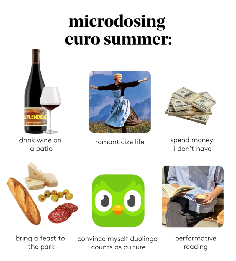 SPLENDIDO microdosing euro summer: drink wine on a patio romanticize life spend money i don't have bring a feast to the park convince myself duolingo counts as culture performative reading