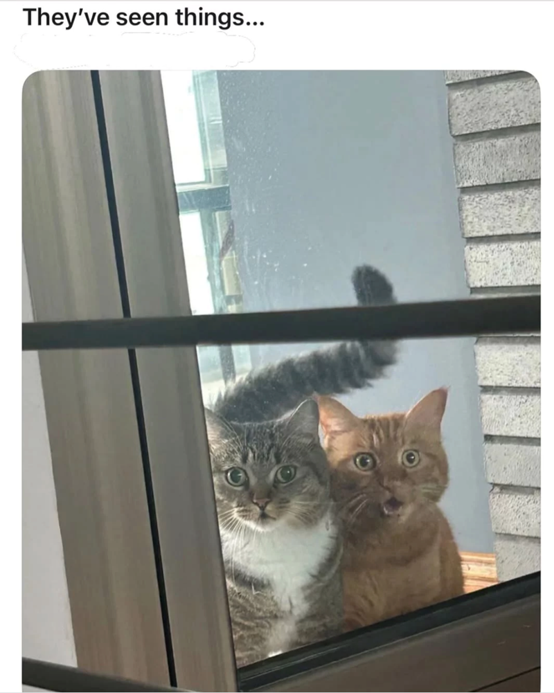 They've seen things...