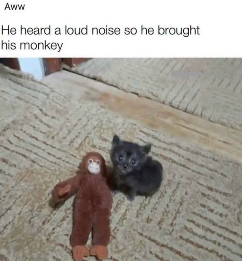 Aww He heard a loud noise so he brought his monkey