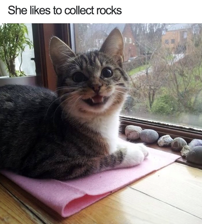 She likes to collect rocks