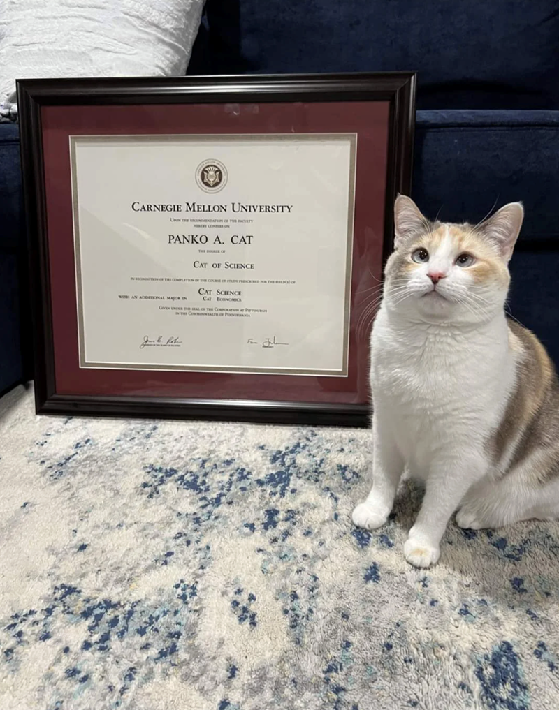 CARNEGIE MELLON UNIVERSITY UPON THE RECOMMENDATION OF THE FACULTY PANKO A. CAT CAT OF SCIENCE CAT SCIENCE WITH AN ADDITIONAL MAJOR IN CAT ECONOMICS GIVEN UNDER THE AL OF THE CORPORATION AT P IN THE COMMONWEALTH or PooANIA Jak Rob For Jul