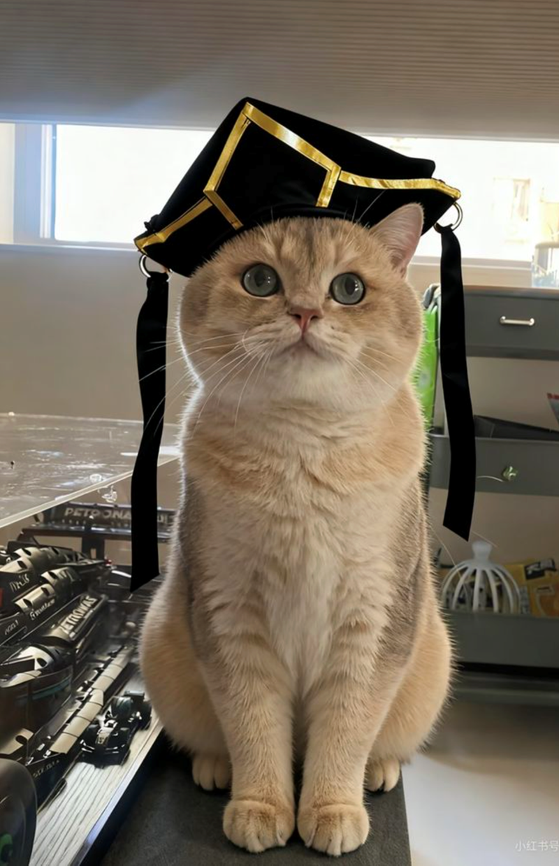 AGG1 PETRONA LIVE DES Frater RETROWAS 小红书号