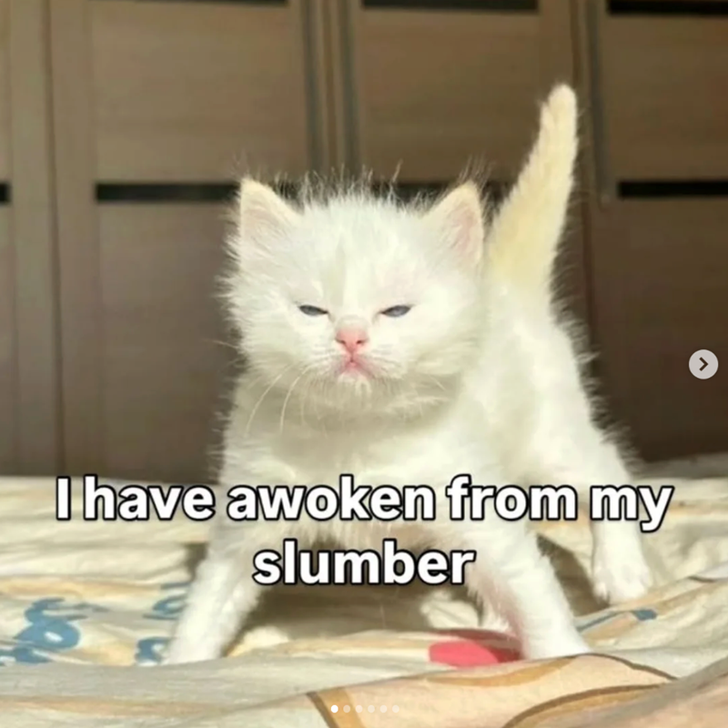 I have awoken from my slumber