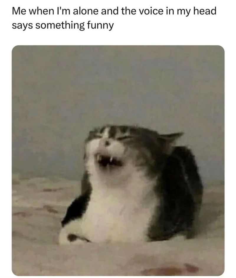 Me when I'm alone and the voice in my head says something funny