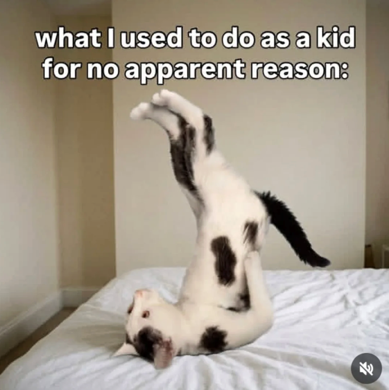 what I used to do as a kid for no apparent reason: 71