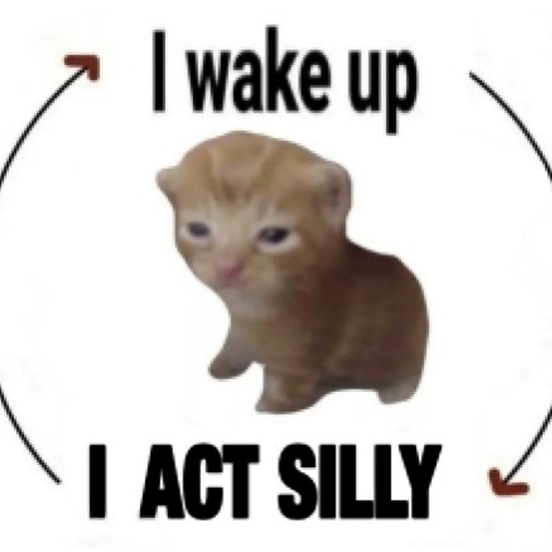 I wake up I ACT SILLY