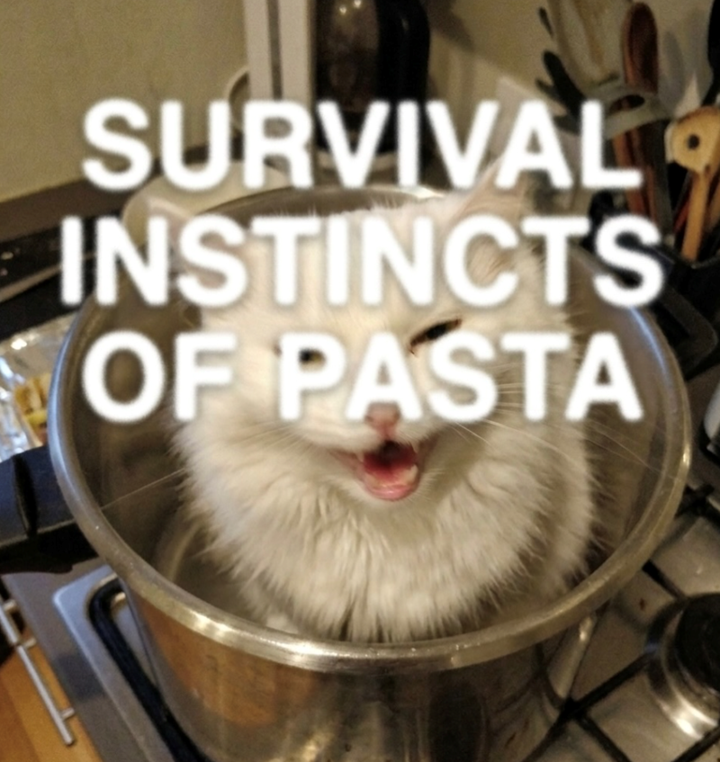 SURVIVAL INSTINCTS OF PASTA