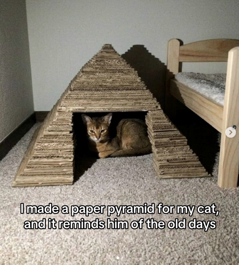 > I made a paper pyramid for my cat, and it reminds him of the old days