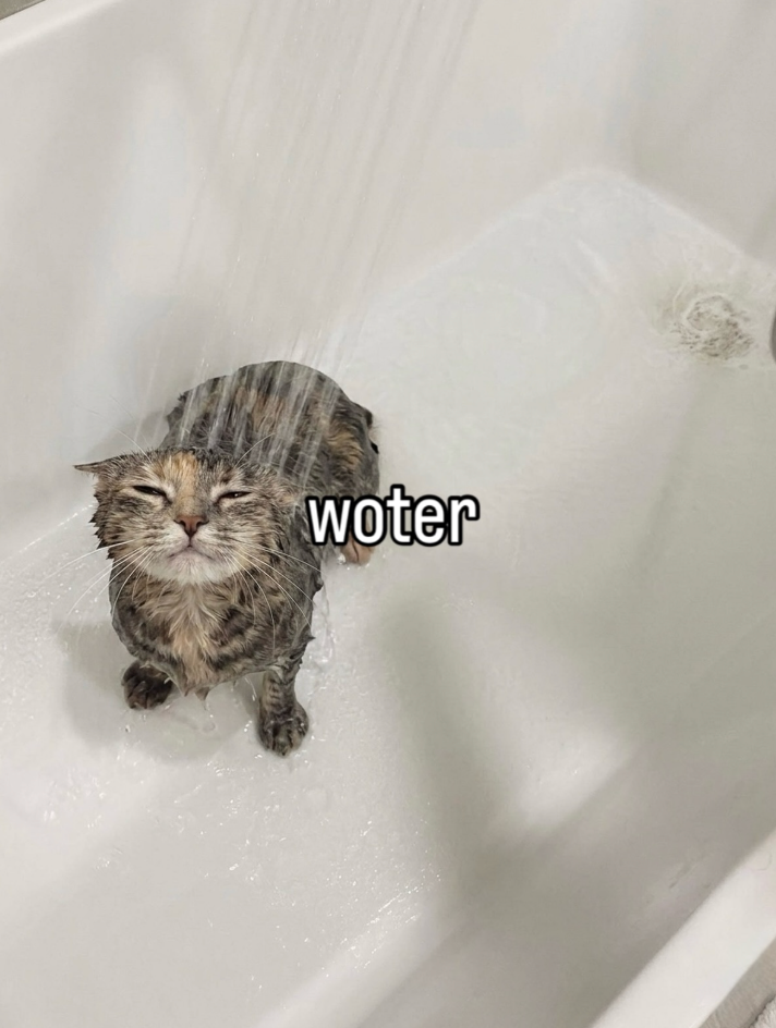 woter