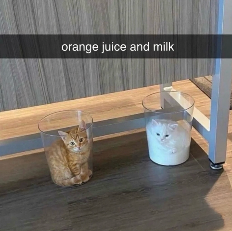 orange juice and milk