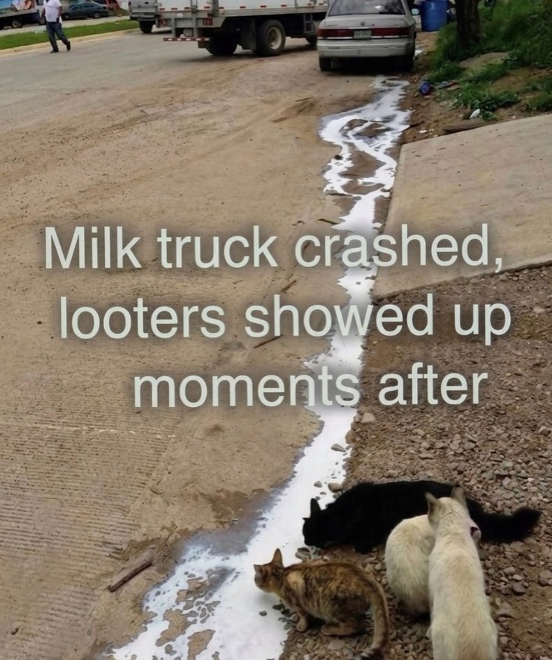 Milk truck crashed, looters showed up moments after