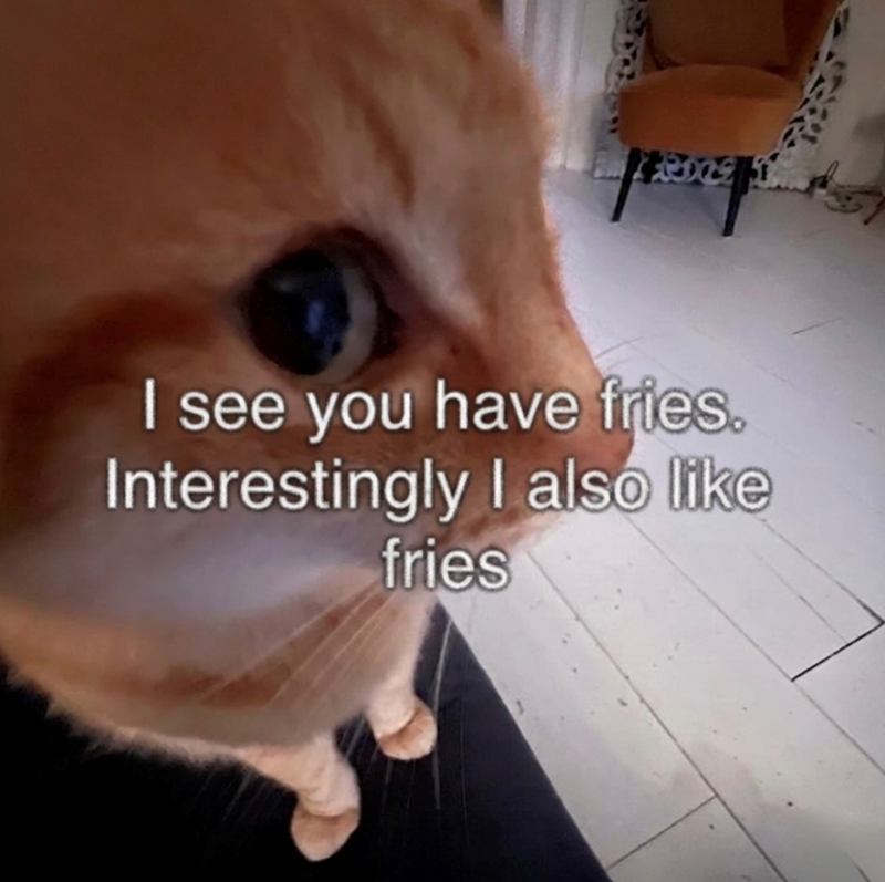 Long I I see you have fries. Interestingly I also like fries